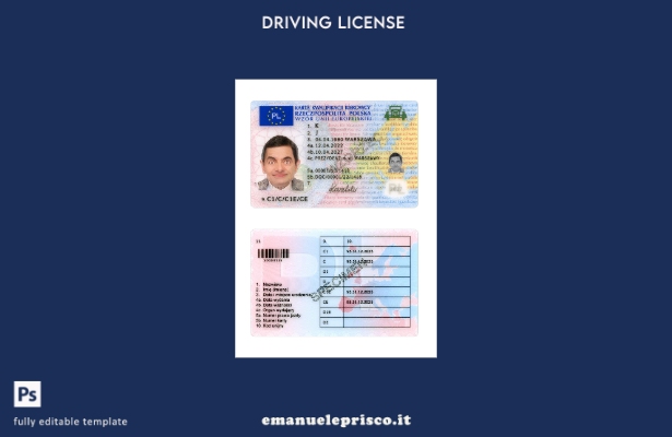 verified style modello presente patente di guida polacca stile verificato template